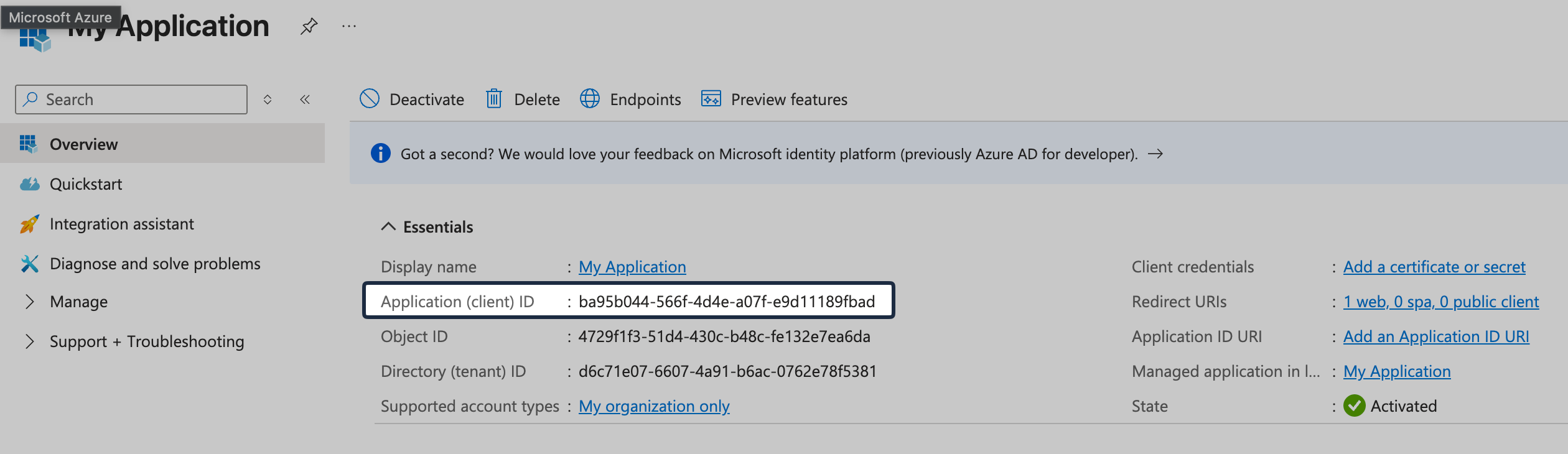 Application Overview page highlighting the Application client ID